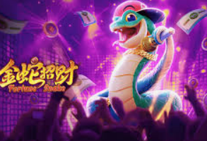 十大足球赌注软件排行榜